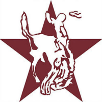 Benton Consolidated High School logo