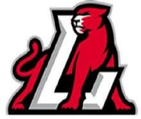 Ludlow High School logo