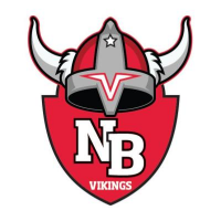 North Branch Area High School logo