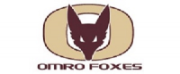 Omro High School logo