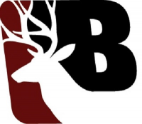 Buchanan Virtual Academy logo