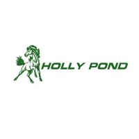 Holly Pond High School logo
