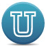 Indiana University - Purdue University-Indianapolis logo