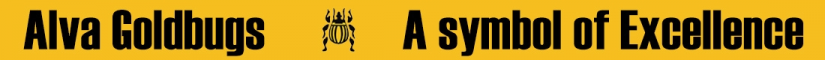 Alva Hs logo