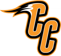 Charles City High School logo
