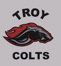 Troy High School logo