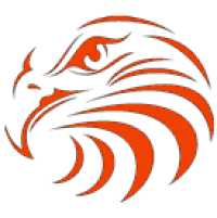Tyrone Area High School logo