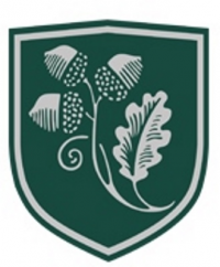 Academica International Studies logo