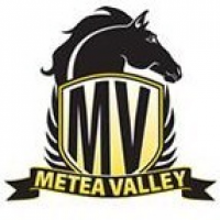 Metea Valley High School logo