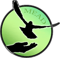 Mead Alternative High School logo