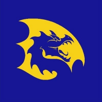 Cameron High School logo