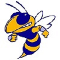 Curry High School logo