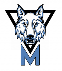 Mountainside High School logo