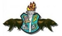 Aliso Niguel High School logo