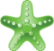 aacrao-2025-starfish